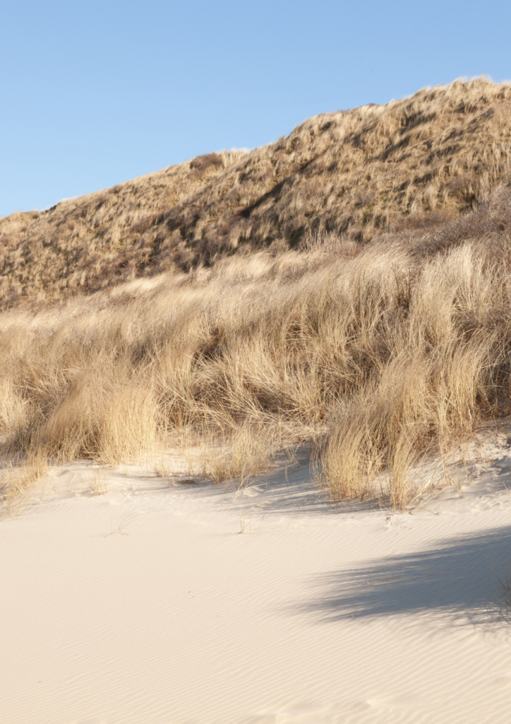Plaatsen om te ontdekken tijdens een gezinsvakantie in petten