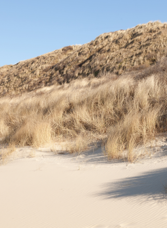 dunes Plaatsen om te ontdekken tijdens een gezinsvakantie in petten